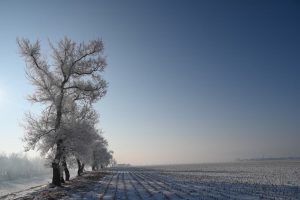 吉林省・の写真 冬の恋情その1-11-8