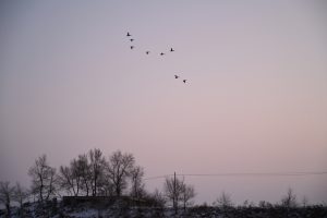 吉林省・の写真　冬の恋情その1-3-11