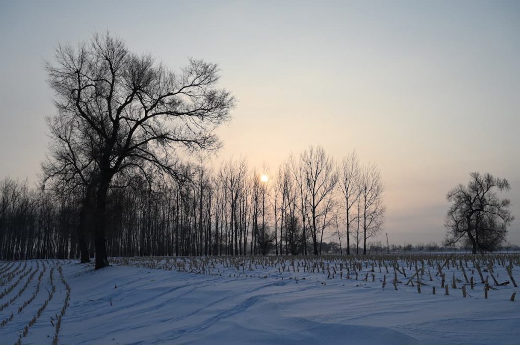 吉林省・の写真　冬の恋情その1-3-4