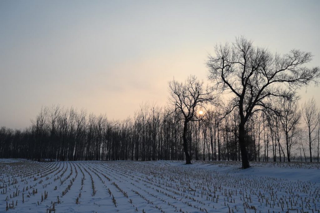 吉林省・の写真　冬の恋情その1-3-5