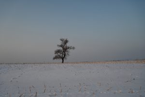 吉林省・の写真　冬の恋情その1-3-6