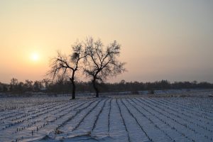 吉林省・の写真　冬の恋情その1-3-7