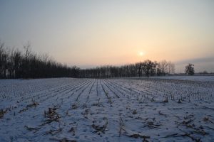 吉林省・の写真　冬の恋情その1-3-9