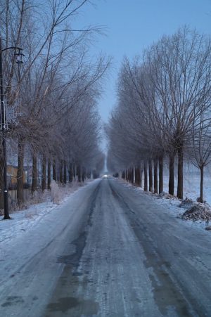 吉林省・の写真　冬の恋情その1-4-6