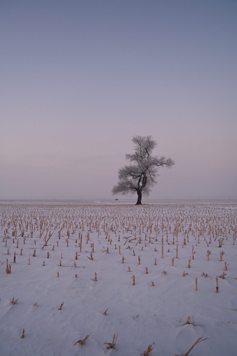 吉林省・の写真　冬の恋情その1-5-1