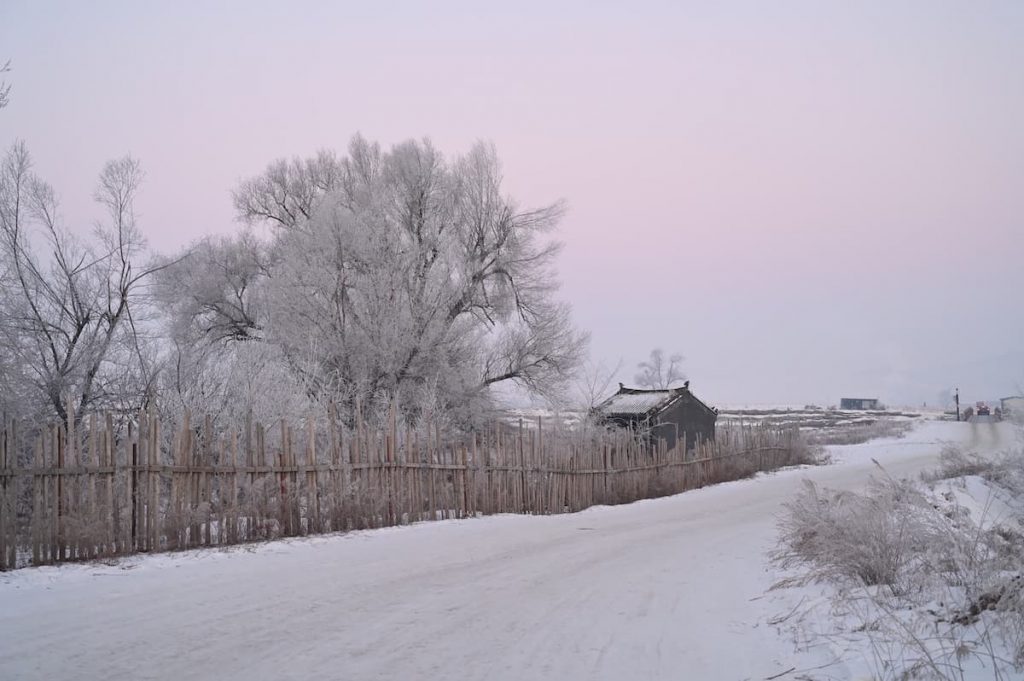 吉林省・の写真　冬の恋情その1-5-2