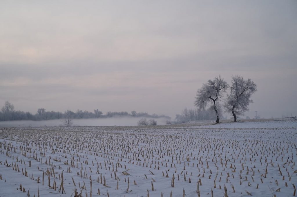 吉林省・の写真　冬の恋情その1-5-3