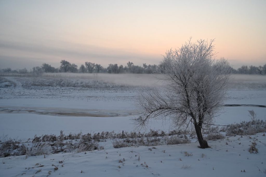 吉林省・の写真　冬の恋情その1-5-4