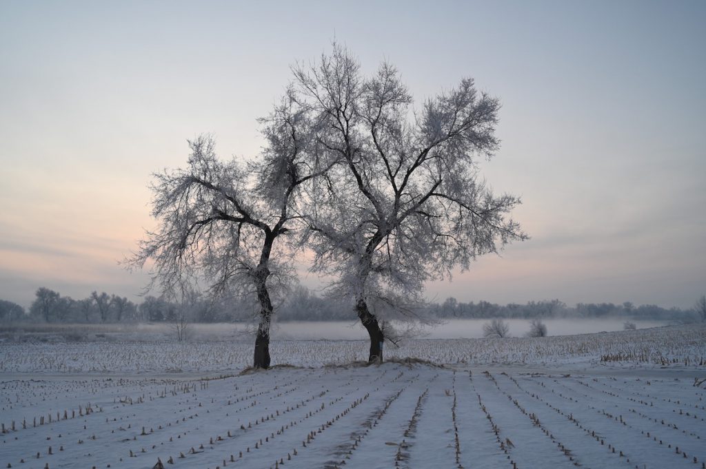 吉林省・の写真　冬の恋情その1-5-5