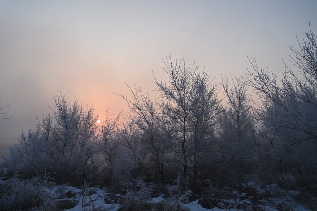 吉林省・の写真　冬の恋情その1-6-1