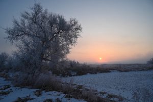 吉林省・の写真　冬の恋情その1-6-11