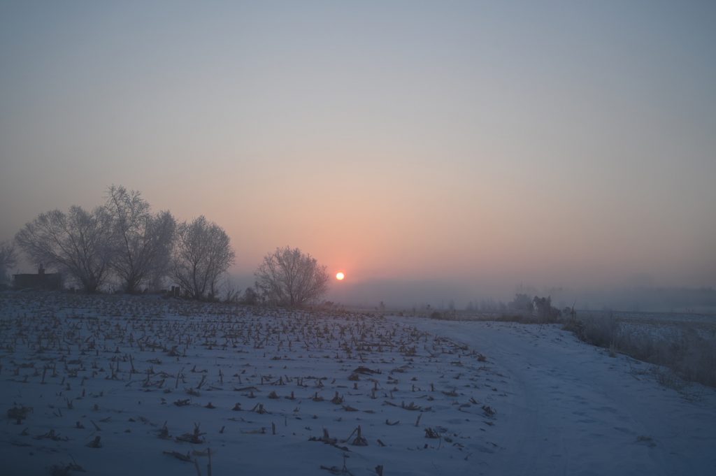 吉林省・の写真　冬の恋情その1-6-4