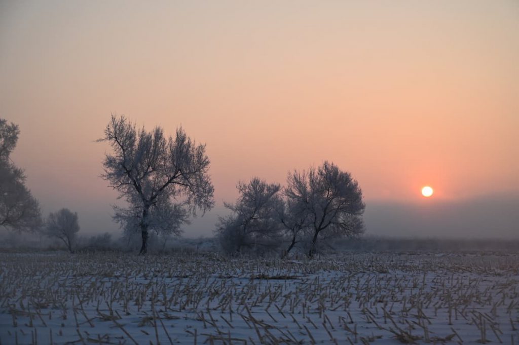 吉林省・の写真　冬の恋情その1-6-5