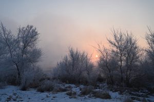 吉林省・の写真　冬の恋情その1-6-9