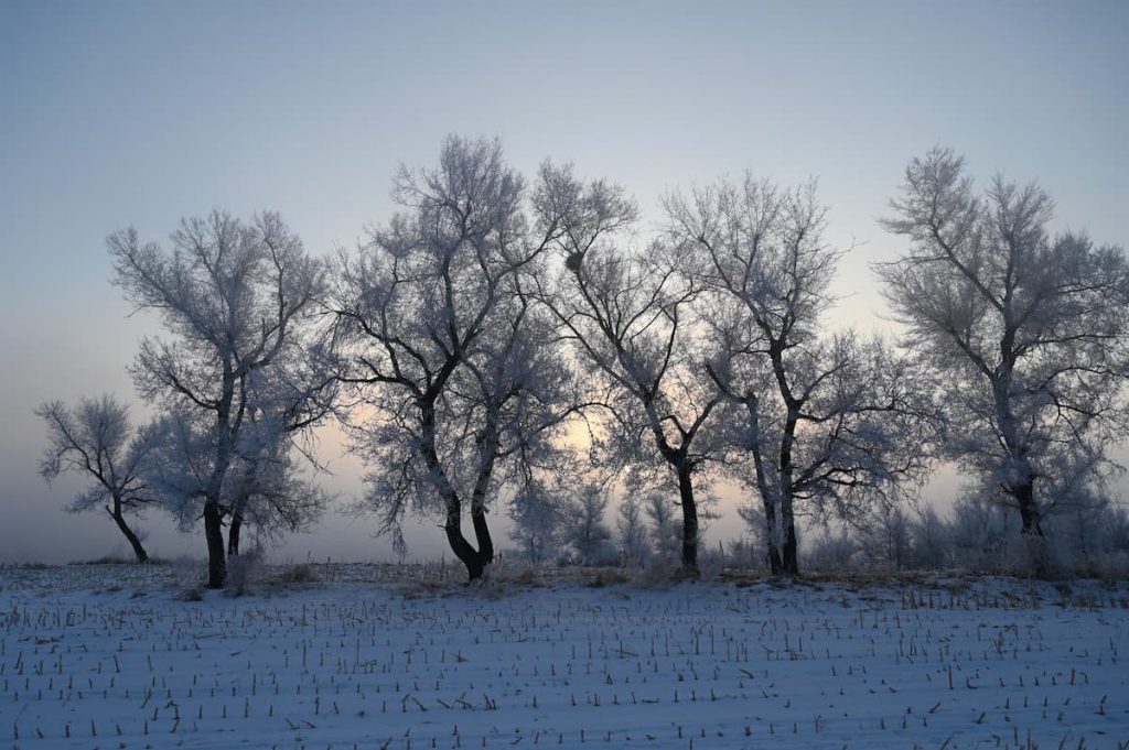 吉林省・の写真　冬の恋情その1-7-1