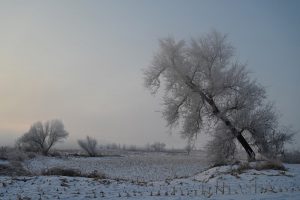 吉林省・の写真　冬の恋情その1-7-10