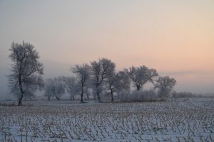 吉林省・の写真　冬の恋情その1-7-11