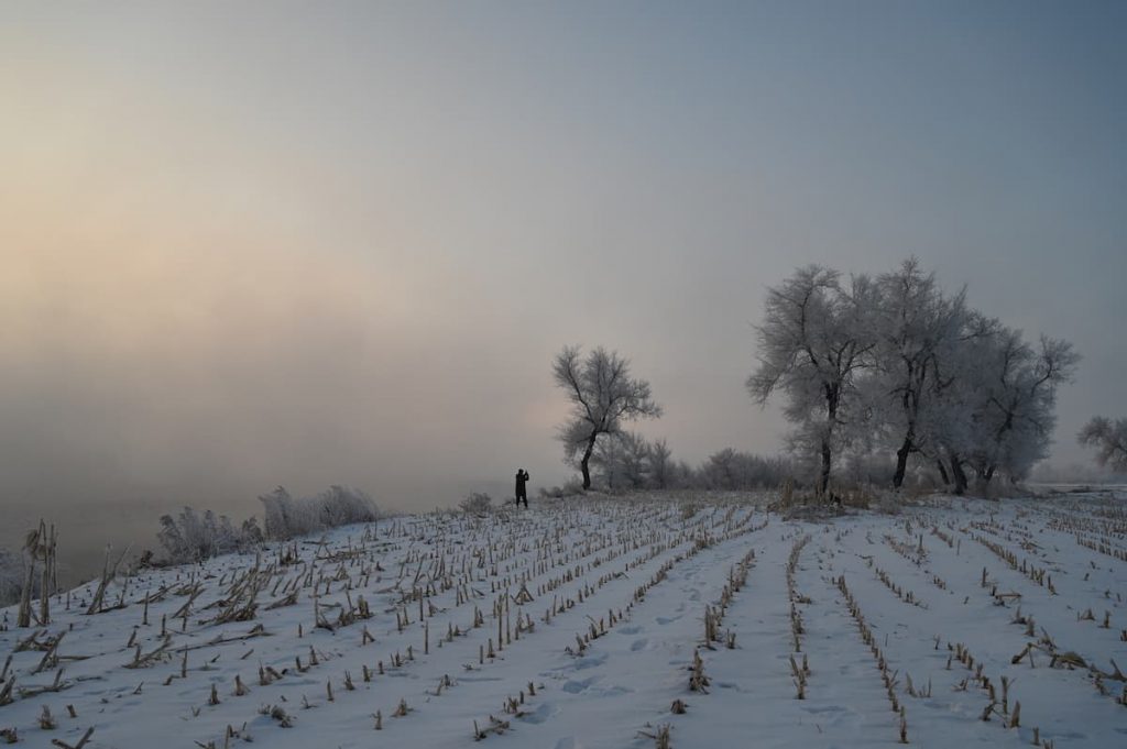 吉林省・の写真　冬の恋情その1-7-2