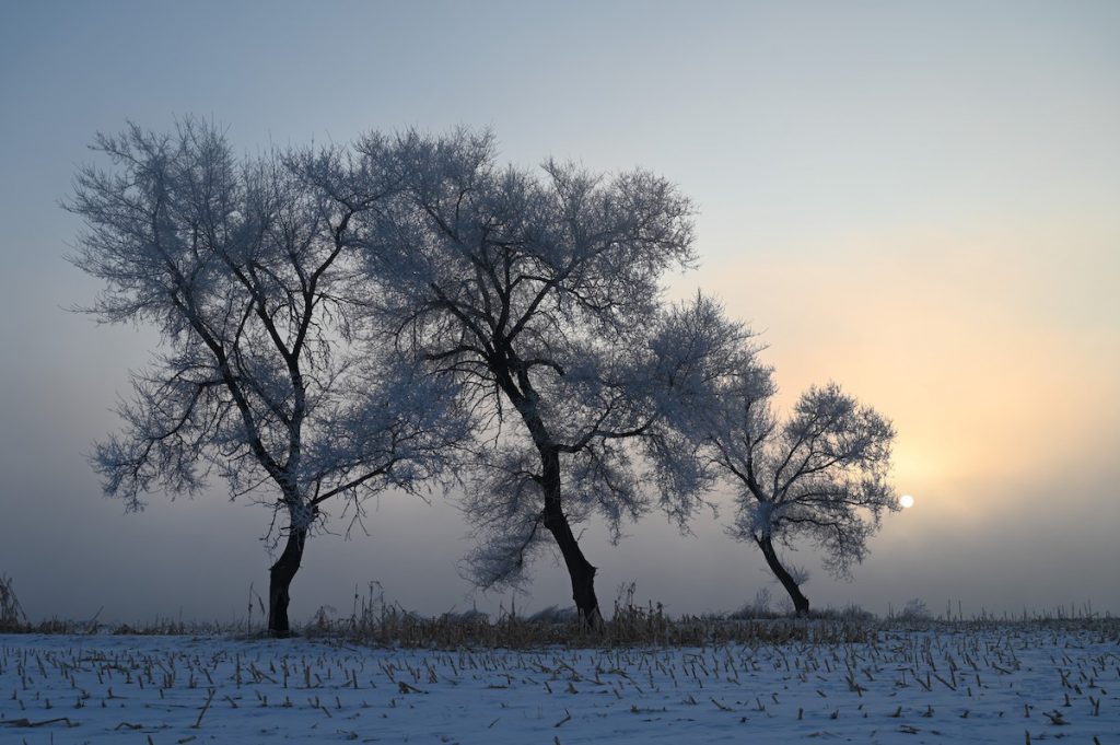 吉林省・の写真　冬の恋情その1-7-3