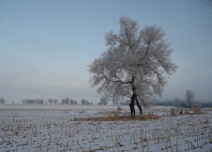 吉林省・の写真　冬の恋情その1-7-6