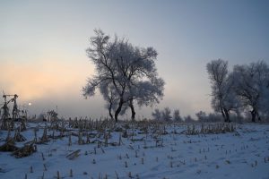 吉林省・の写真　冬の恋情その1-7-7