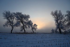 吉林省・の写真　冬の恋情その1-7-8