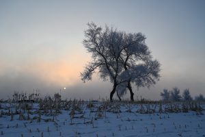 吉林省・の写真　冬の恋情その1-7-9