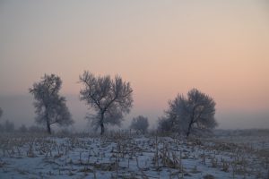 吉林省・の写真　冬の恋情その1-8-10