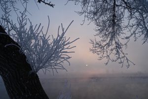 吉林省・の写真　冬の恋情その1-8-7