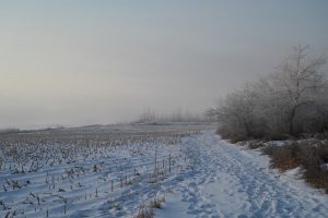 吉林省・の写真　冬の恋情その1-8-8