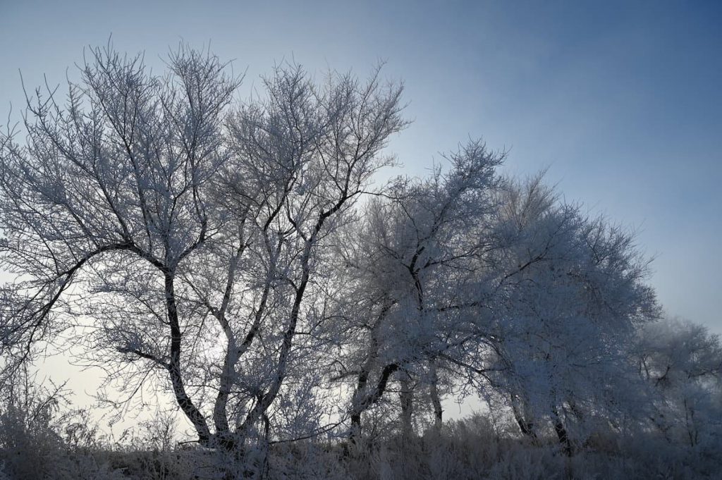 吉林省・の写真　冬の恋情その1-9-1