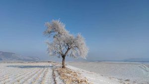 吉林省・の写真　冬の恋情その1-9-10