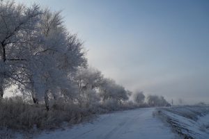 吉林省・の写真　冬の恋情その1-9-11