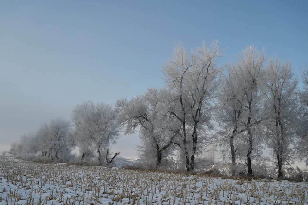 吉林省・の写真　冬の恋情その1-9-2