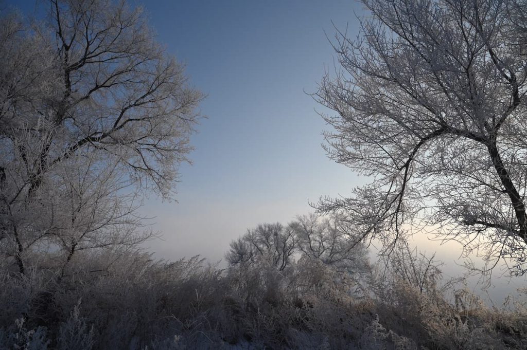 吉林省・の写真　冬の恋情その1-9-3