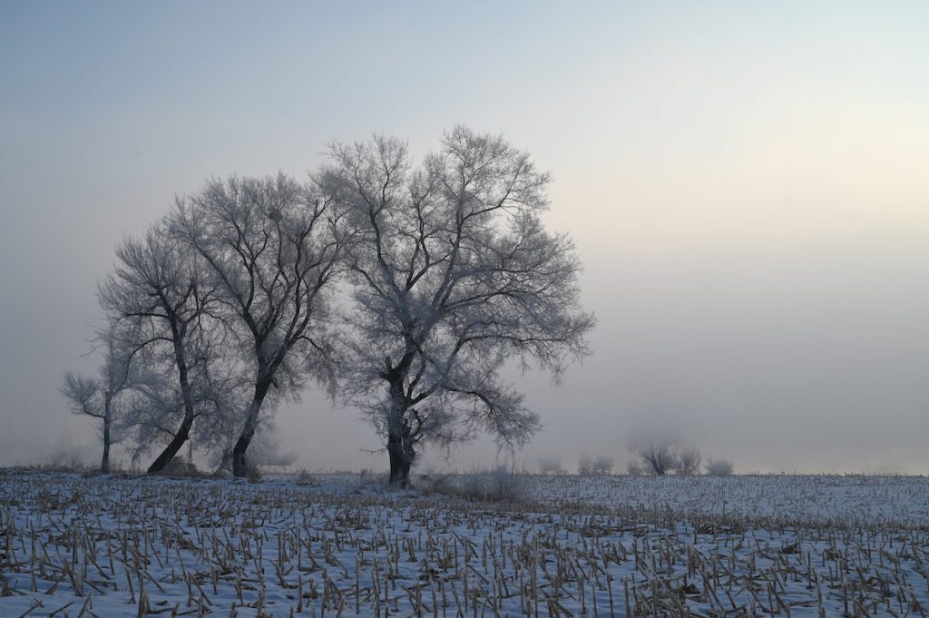 吉林省・の写真　冬の恋情その1-9-4
