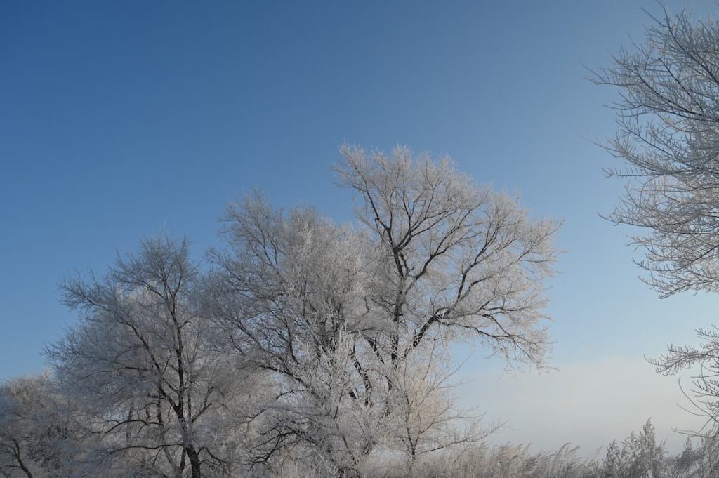 吉林省・の写真　冬の恋情その1-9-5