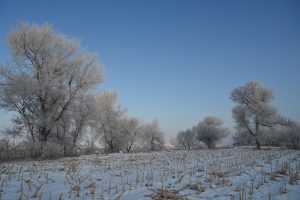 吉林省・の写真　冬の恋情その1-9-6