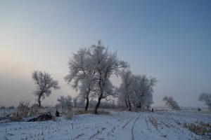 吉林省・の写真　冬の恋情その1-9-7