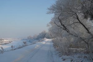 吉林省・の写真　冬の恋情その1-9-8