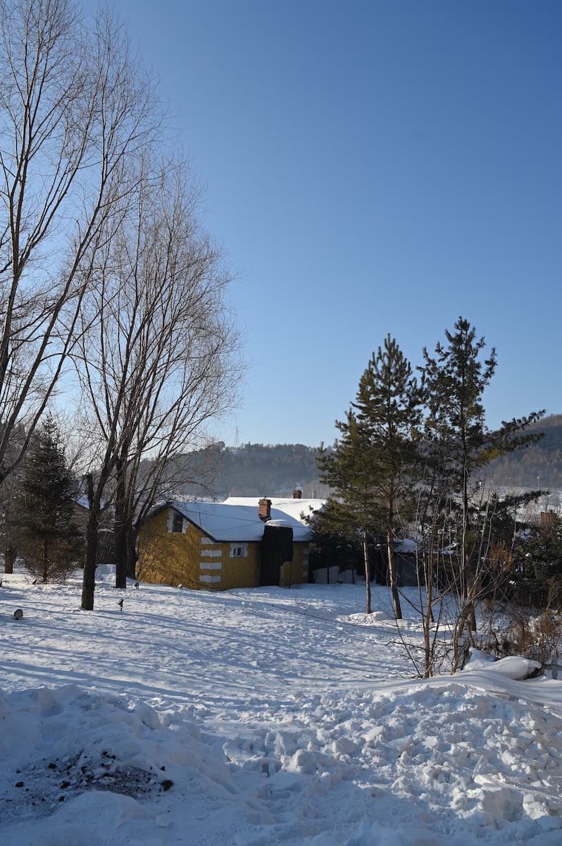 黒竜江省・牡丹江横道河子の写真　冬の恋情その2-2-4