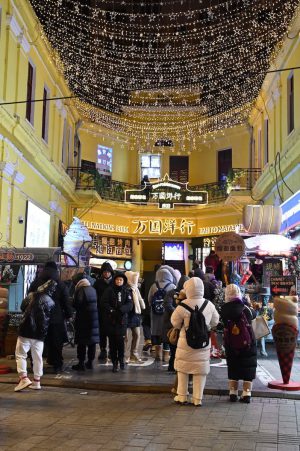 黒竜江省・の写真　冬の恋情その3-3-11