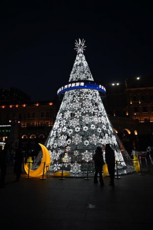 黒竜江省・の写真　冬の恋情その3-3-6