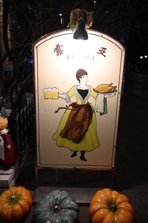 黒竜江省・の写真　冬の恋情その3-4-11