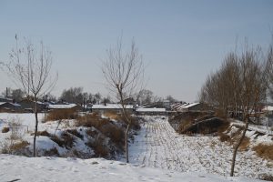 黒竜江省・の写真　冬の恋情その3-7-10