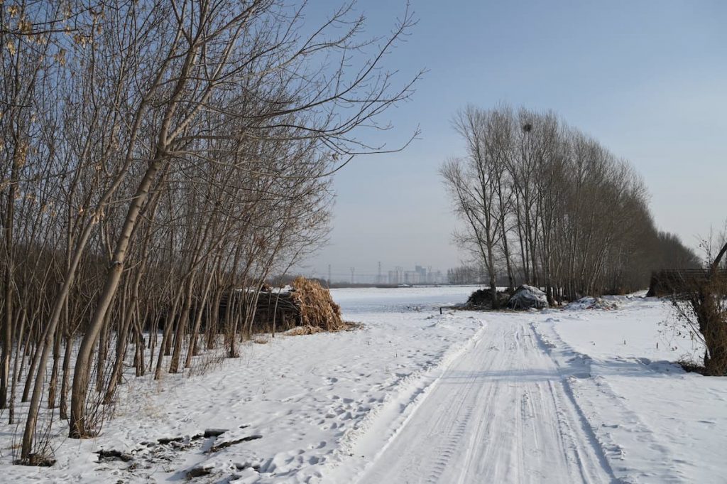 黒竜江省・の写真　冬の恋情その3-7-4