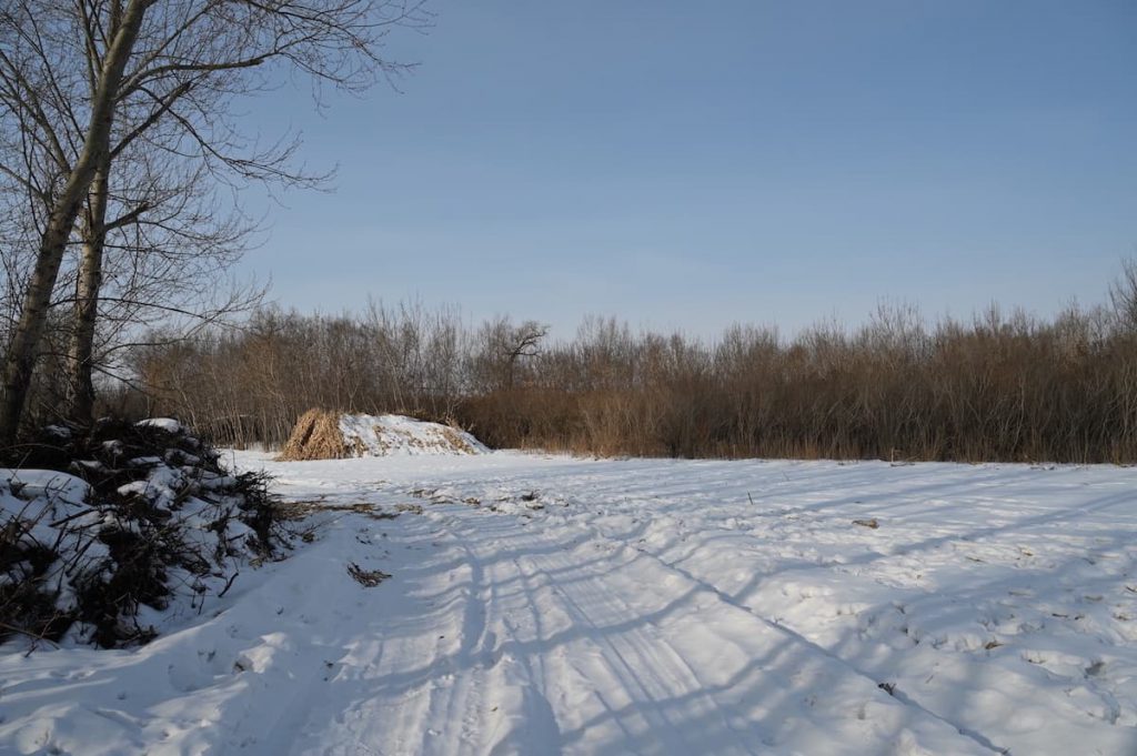 黒竜江省・の写真　冬の恋情その3-7-5