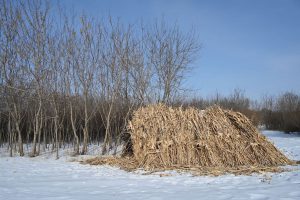 黒竜江省・の写真　冬の恋情その3-7-6