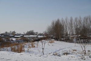 黒竜江省・の写真　冬の恋情その3-7-7