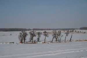 黒竜江省・の写真　冬の恋情その3-7-9